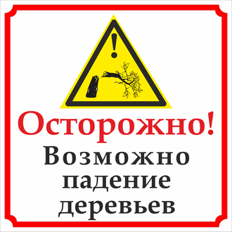 ОСТОРОЖНО! АВАРИЙНЫЕ ДЕРЕВЬЯ!. ОСТОРОЖНО! АВАРИЙНЫЕ ДЕРЕВЬЯ!.