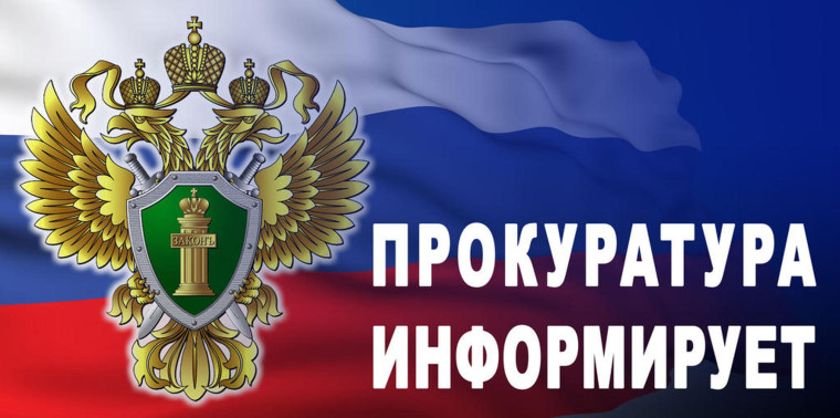 Какую ответственность несут те, кто передал свои банковские карты или номера телефонов для обналичивания похищенных денег?. Какую ответственность несут те, кто передал свои банковские карты или номера телефонов для обналичивания похищенных денег?.